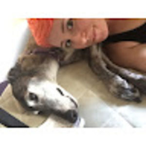 Meet your Posher, Devon